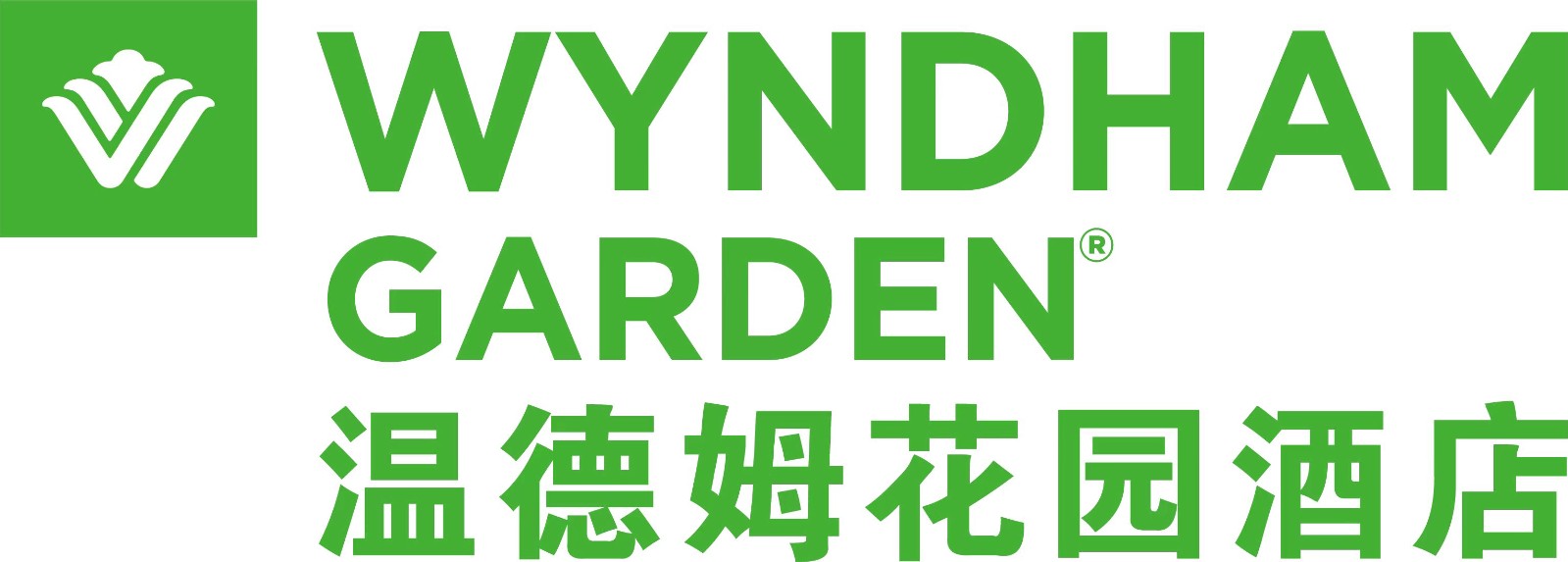 盘龙温德姆花